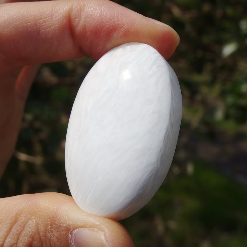 スコレサイト | Crystal Light