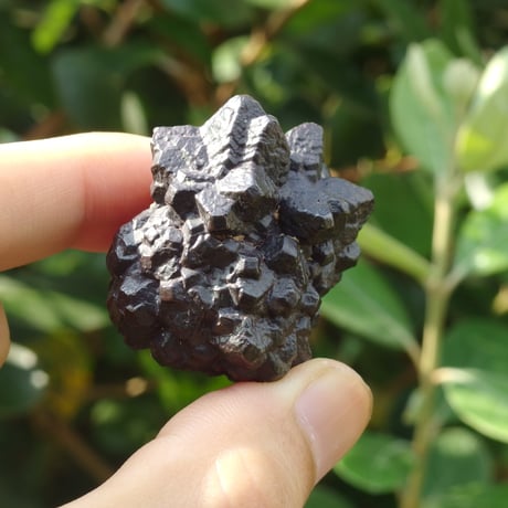 プロフェシーストーン FM-1 プロフェシーストーン FM-1 楽天市場】「予言の石」巨大 プロフェシー