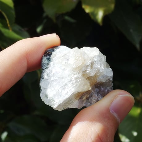 CATEGORY フェナカイト | Crystal Light