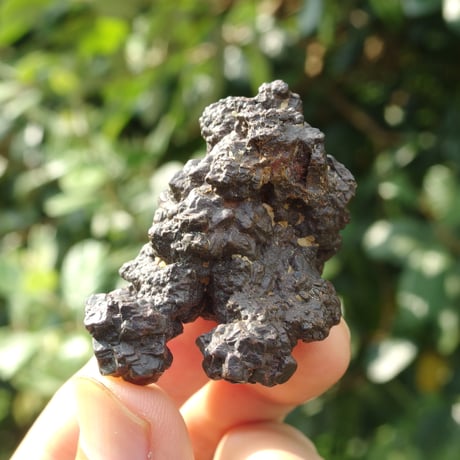 プロフェシーストーン | STORES