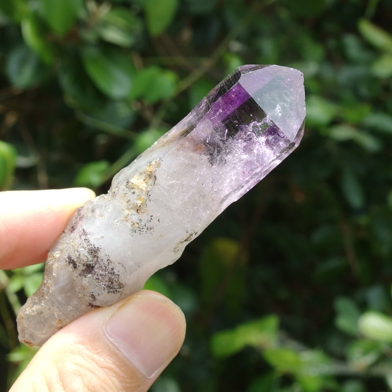 シャンガーンアメジスト（セプター、レコードキーパー、水入り