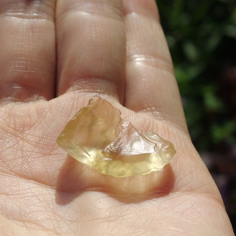 リビアングラス | Crystal Light