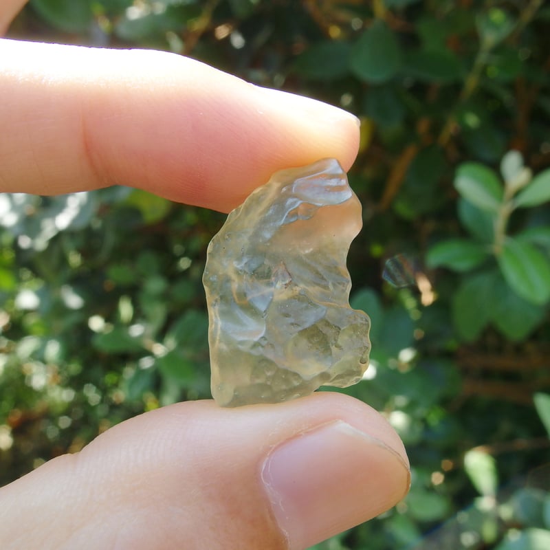 リビアングラス | Crystal Light