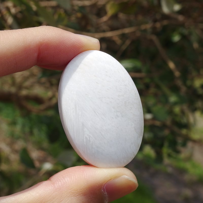 ＊＊☆プロフ必読☆＊＊　はち。＊.・*¨ 様　凄くレア　高品質　スコレサイト スコレサイト - 吉祥寺の天然石のお店『Seven Wishes』