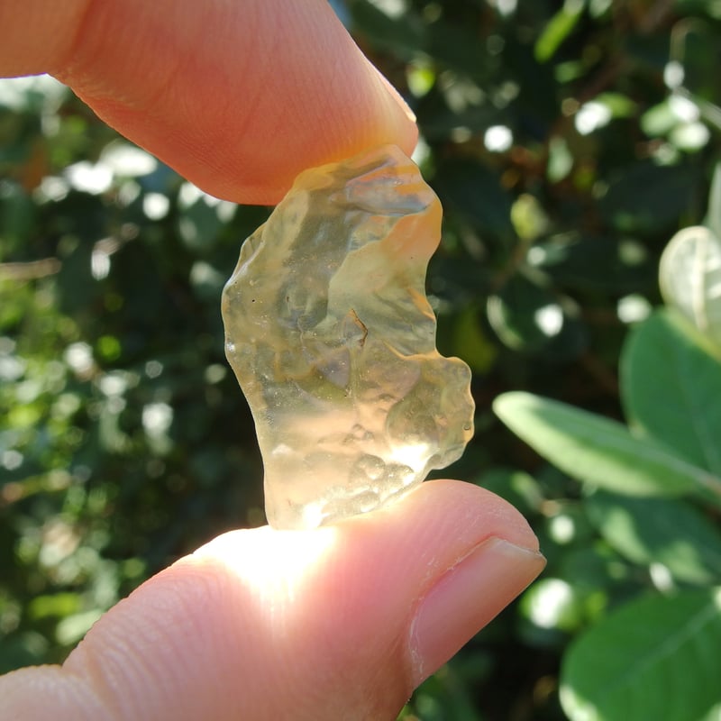 リビアングラス | Crystal Light