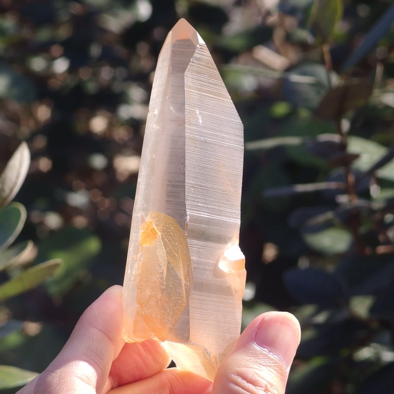 ゴールデンヒーラーレムリアンクリスタル | Crystal Light