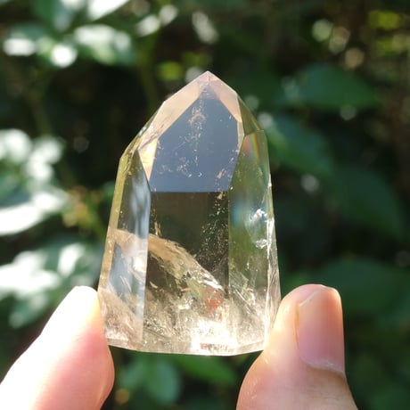 CATEGORY タワー | Crystal Light