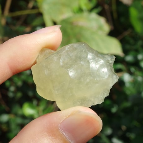 リビアングラス | STORES