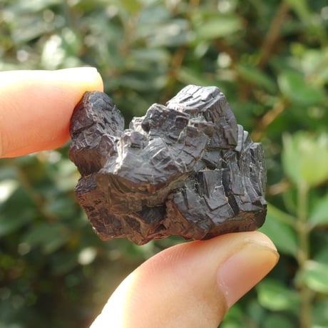 プロフェシーストーン | STORES