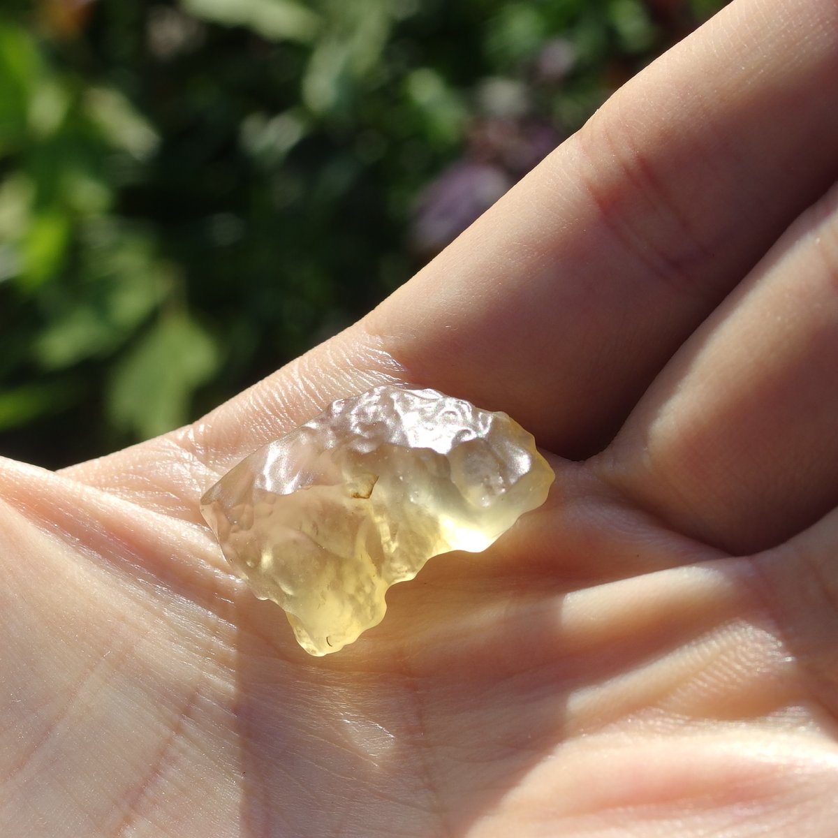 リビアングラス | Crystal Light