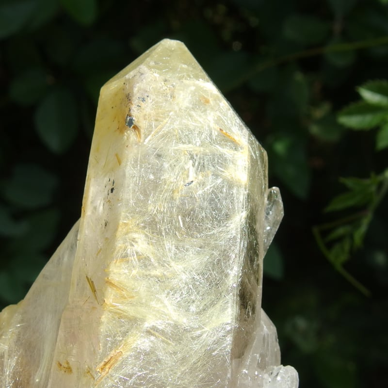 ゴールデンルチルクォーツ | Crystal Light