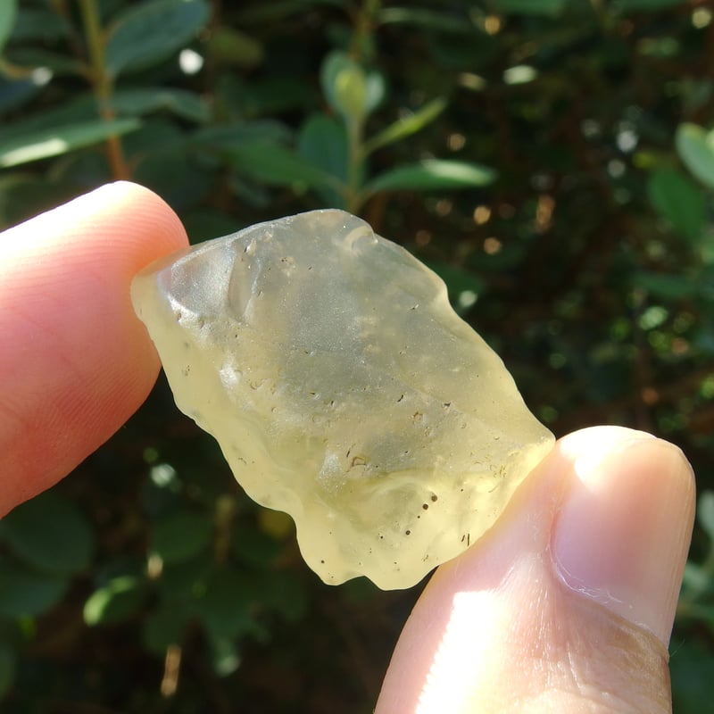 リビアングラス | Crystal Light