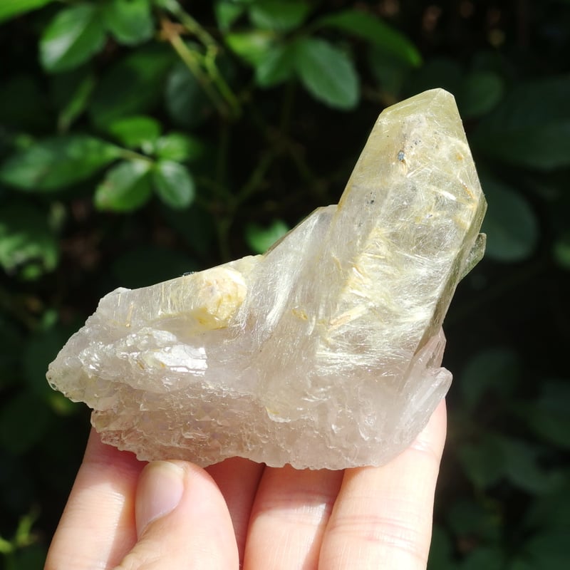 Exグレード　ゴールデンルチルクォーツ ポイント ゴールデンルチルクォーツ | Crystal Light