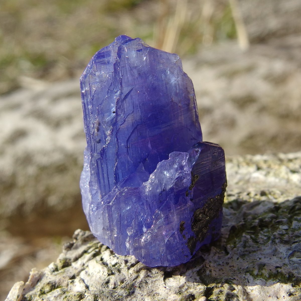 天然非加熱 タンザナイト＆クォーツ 原石 非加熱タンザナイト原石【特典付き】 | Crystal Light