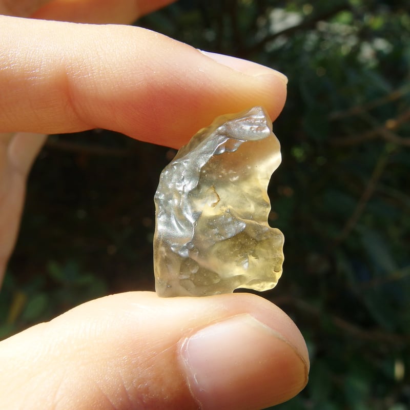 リビアングラス | Crystal Light