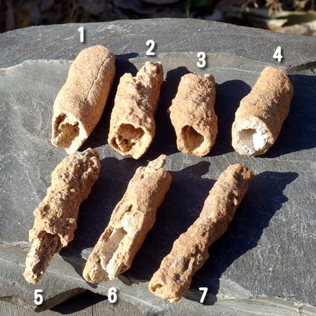 フルグライト