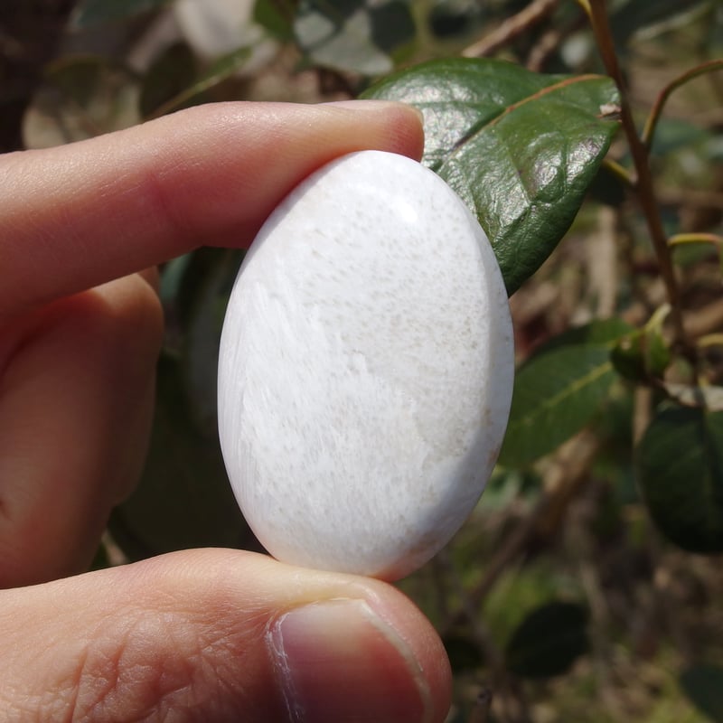 ＊＊☆プロフ必読☆＊＊　はち。＊.・*¨ 様　凄くレア　高品質　スコレサイト スコレサイト | Crystal Light