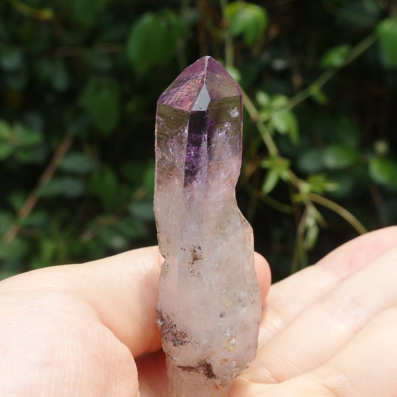 シャンガーンアメジスト（セプター、レコードキーパー、水入り