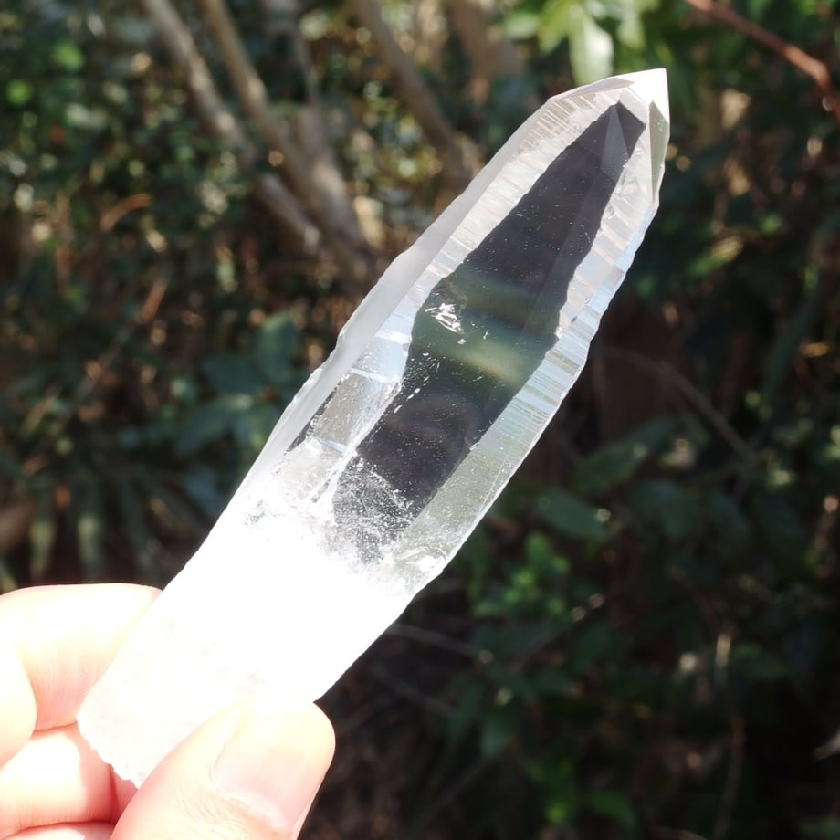 699e8f5a401c31b62963ac9e