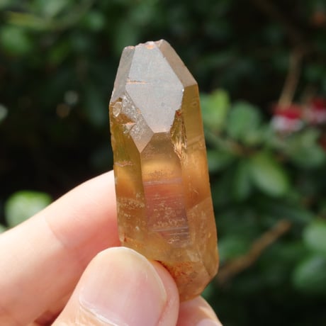 CATEGORY アバンダンス（豊かさ） | Crystal Light