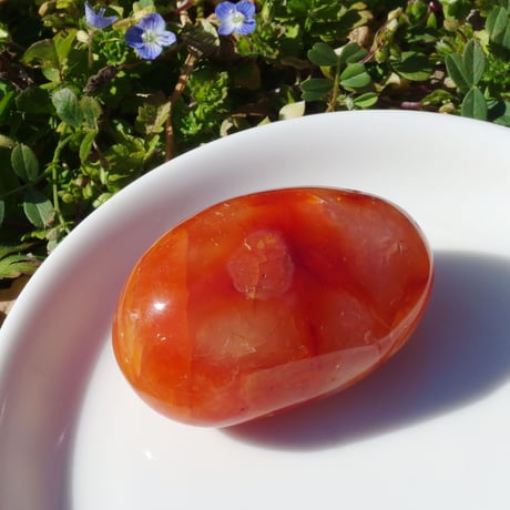 CATEGORY カーネリアン | Crystal Light