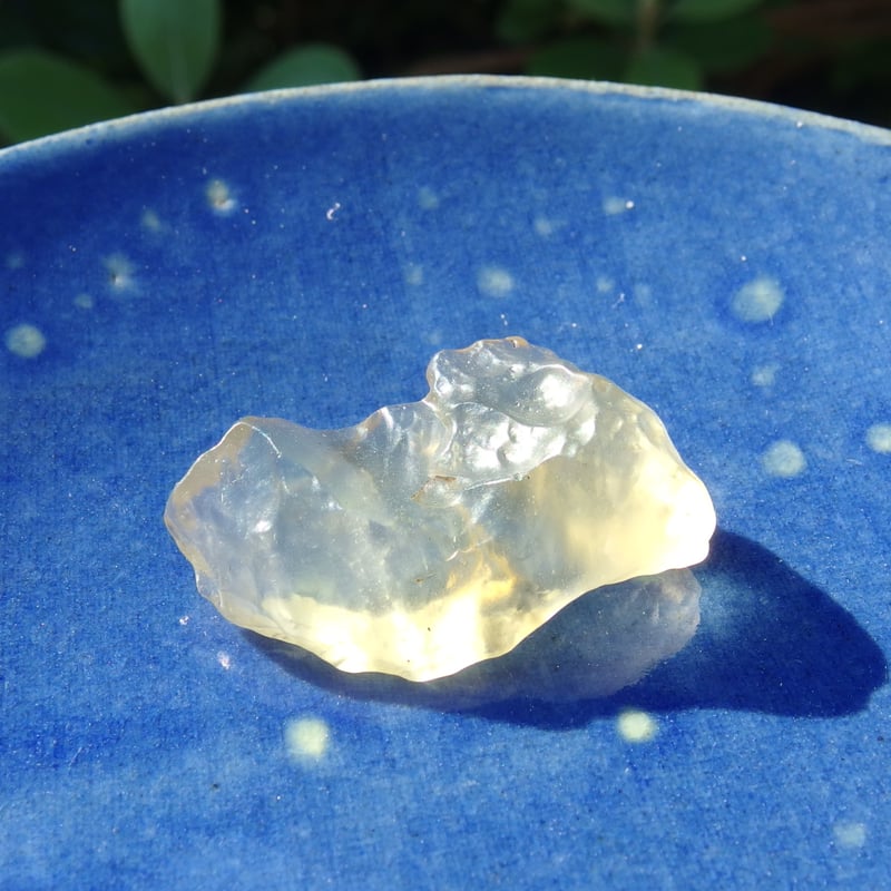 リビアングラス | Crystal Light