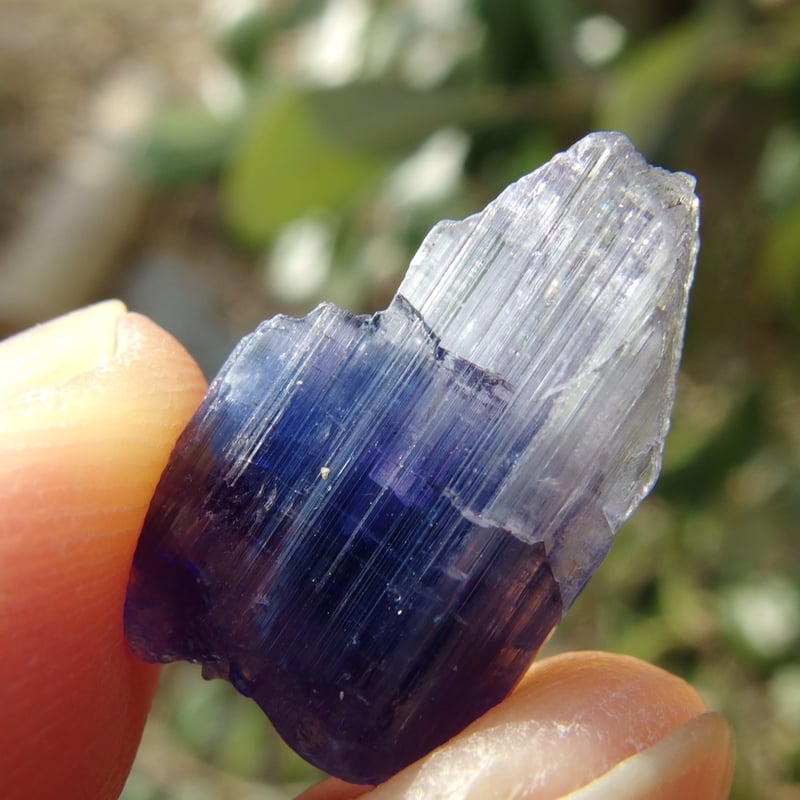 非加熱タンザナイト原石【特典付き】 | Crystal Light