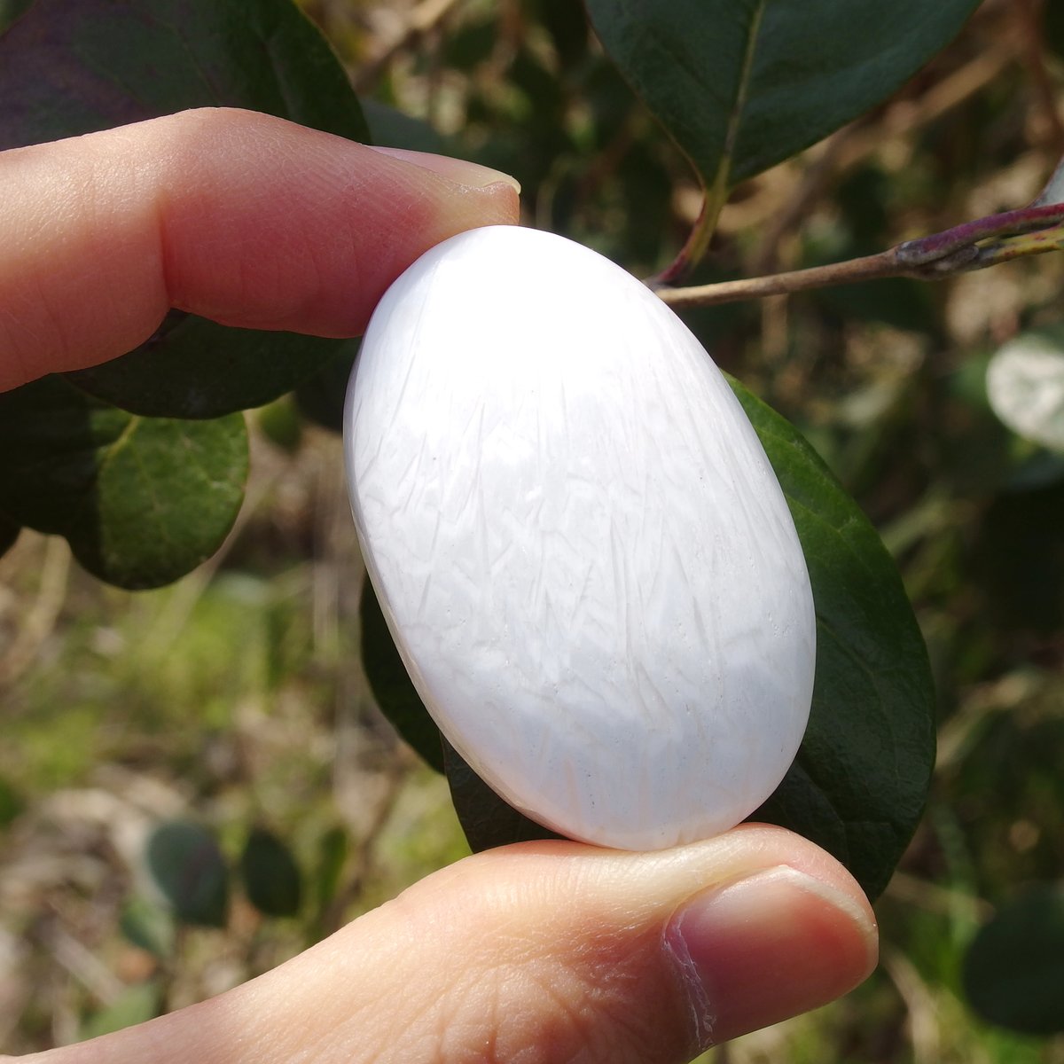 スコレサイト | Crystal Light