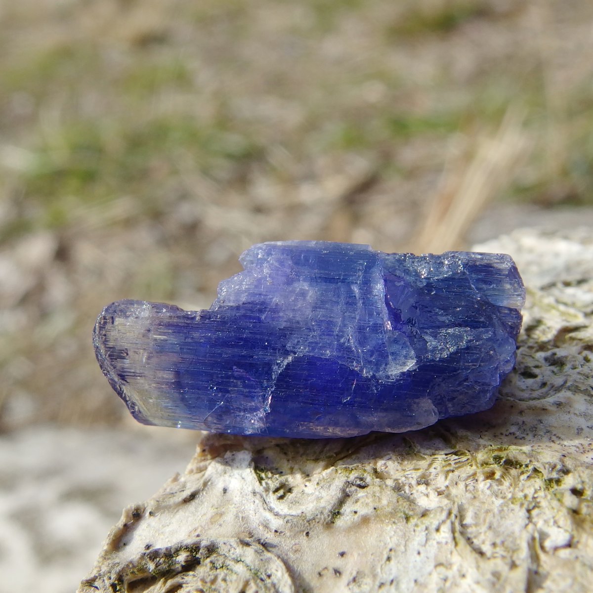 天然非加熱 タンザナイト＆クォーツ 原石 タンザナイト 非加熱 15.4mm原石 結晶 5.53ct (ID:56448) | 榎本通商