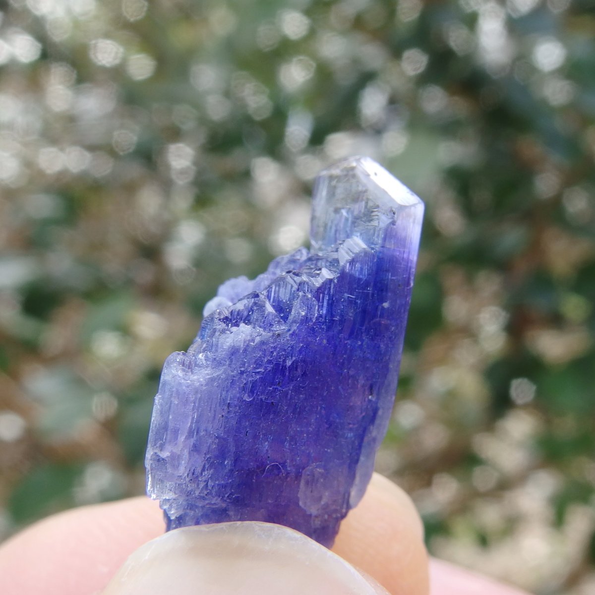 高品質✨非加熱 タンザナイト原石 非加熱タンザナイト原石【特典付き】 | Crystal Light