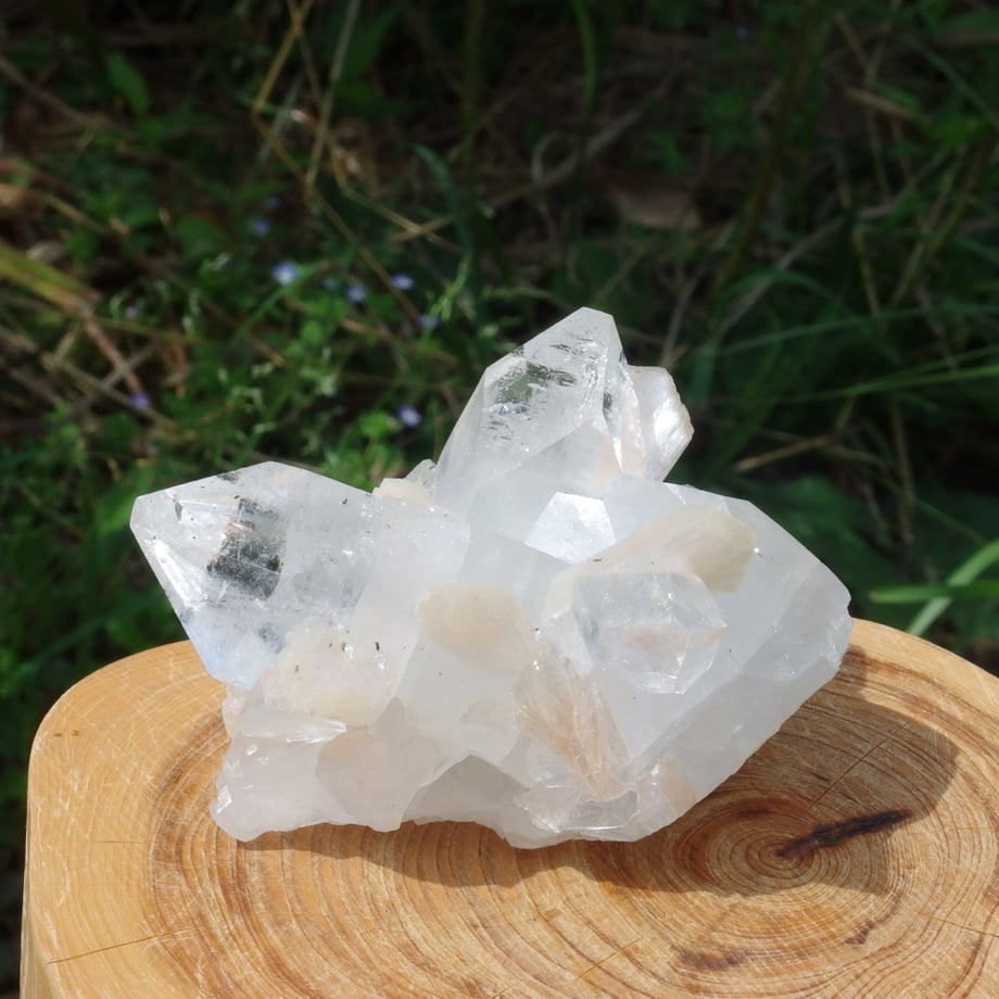 6a1506b69176651b3c33d467