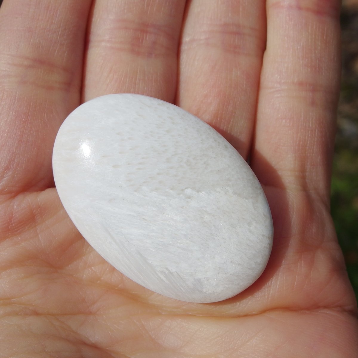 スコレサイト | Crystal Light