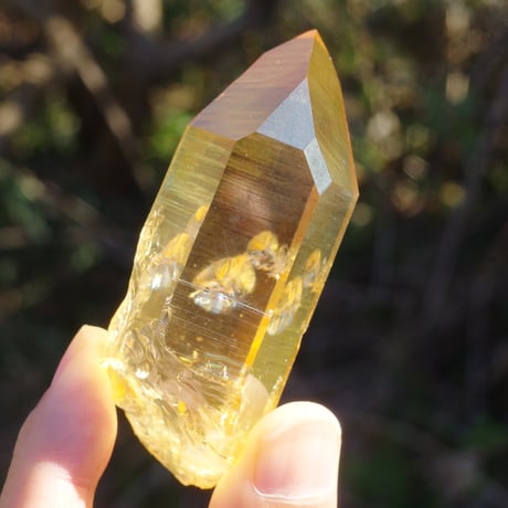 【特典付き】ゴールデンオーラクォーツ（虹入り、パストタイムリンク）
