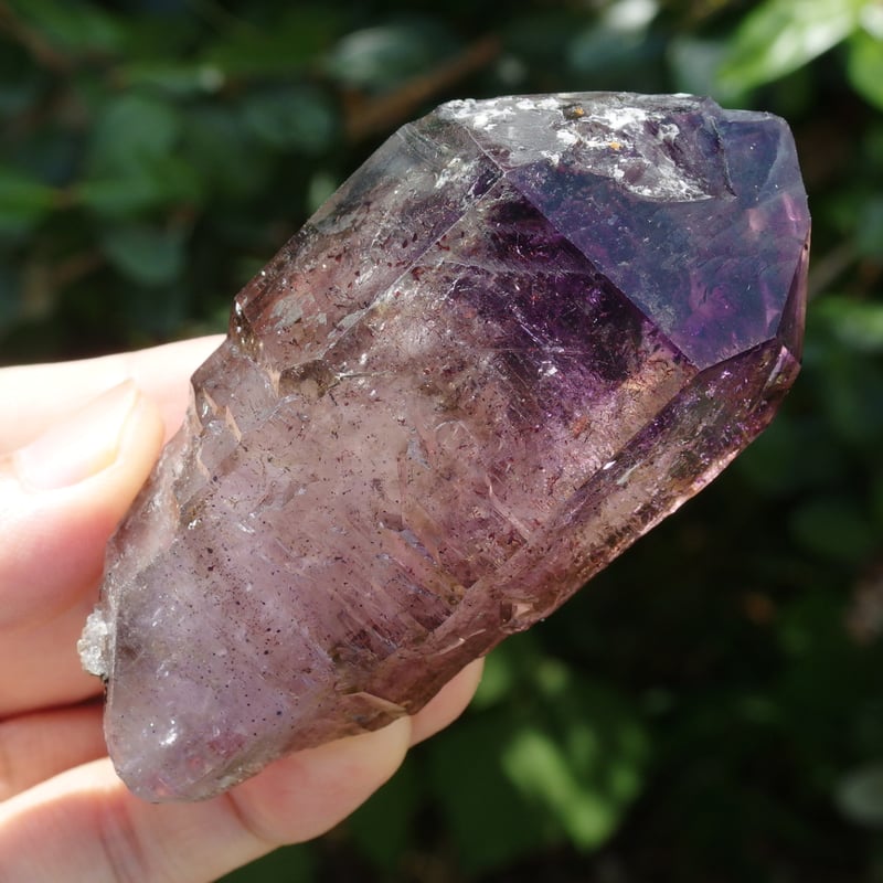 シャンガーンアメジスト（エレスチャル、セプター、ファントム、太古の