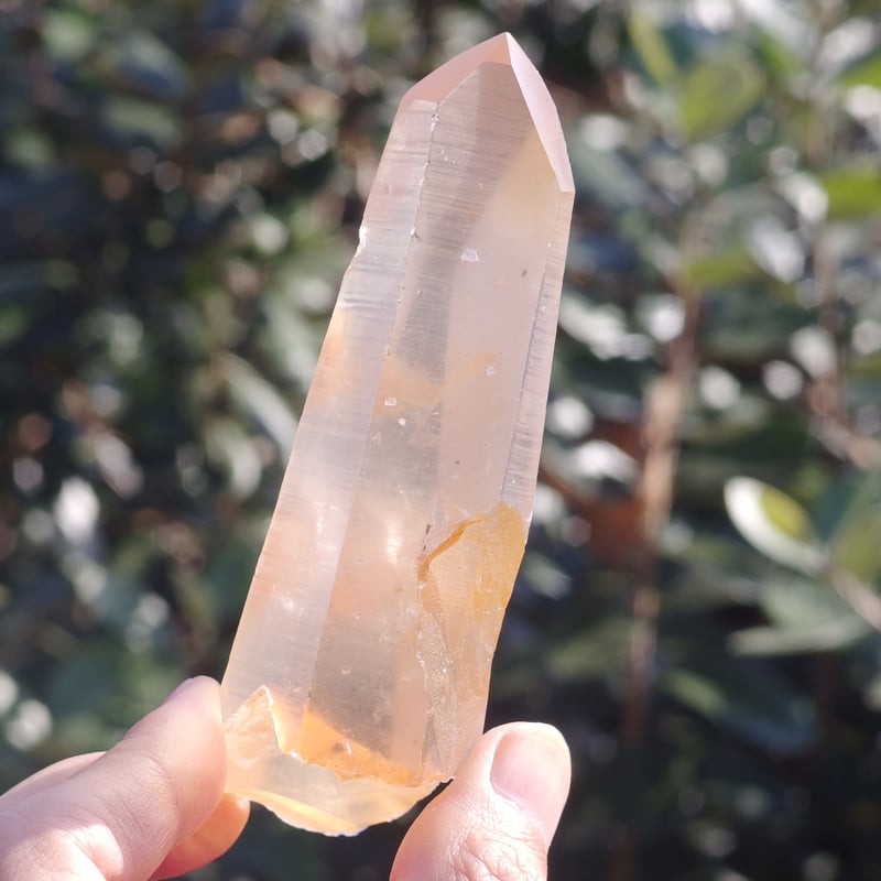 【限定セール】ロシア産ウラルレムリアン エッグ ゴールデンヒーラー ゴールデンヒーラーレムリアンシード × vintage glass （限定1本