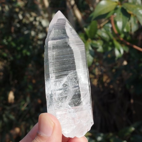 シルバーレムリアンクリスタル（セルフヒールド）【特典付き】