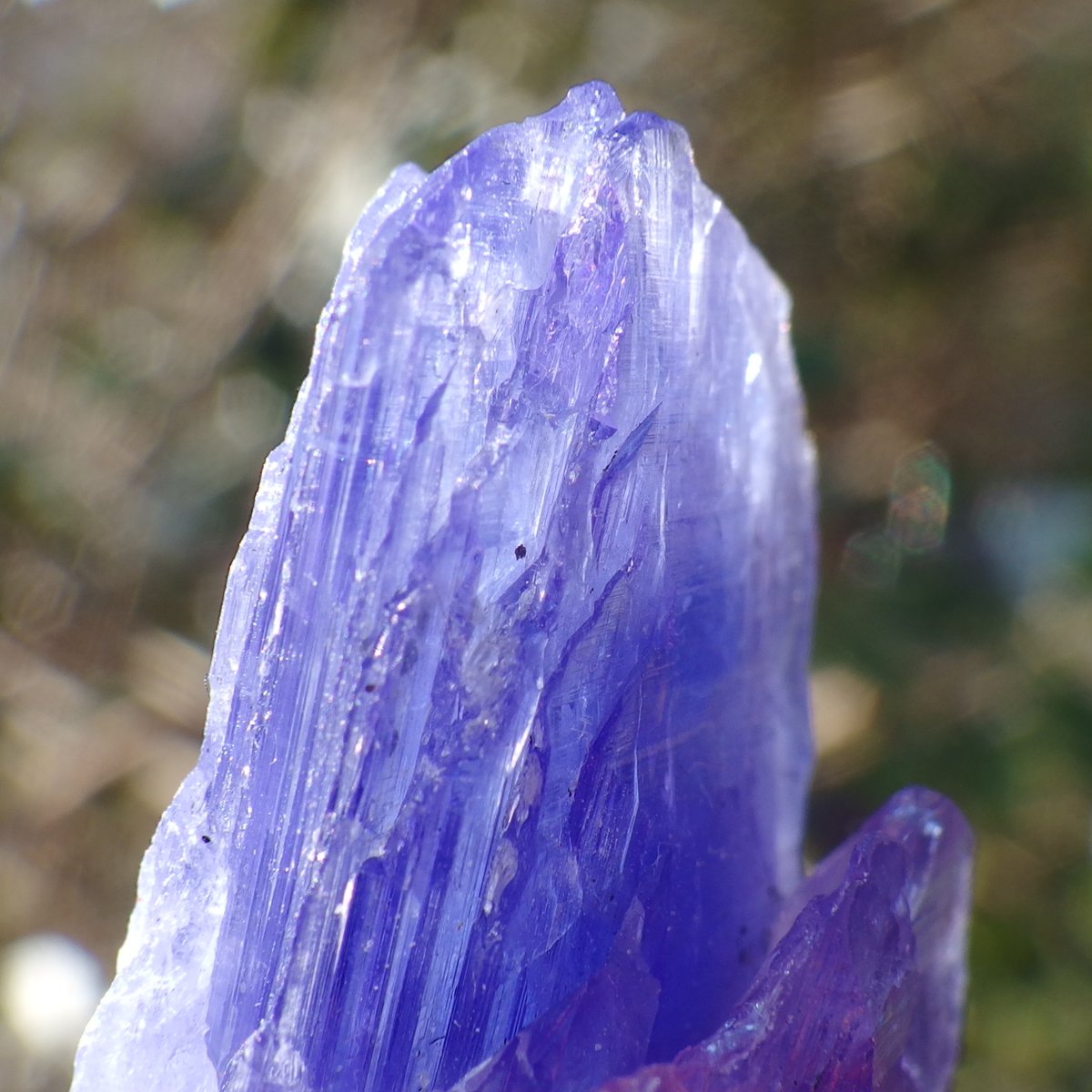 非加熱タンザナイト原石【特典付き】 | Crystal Light