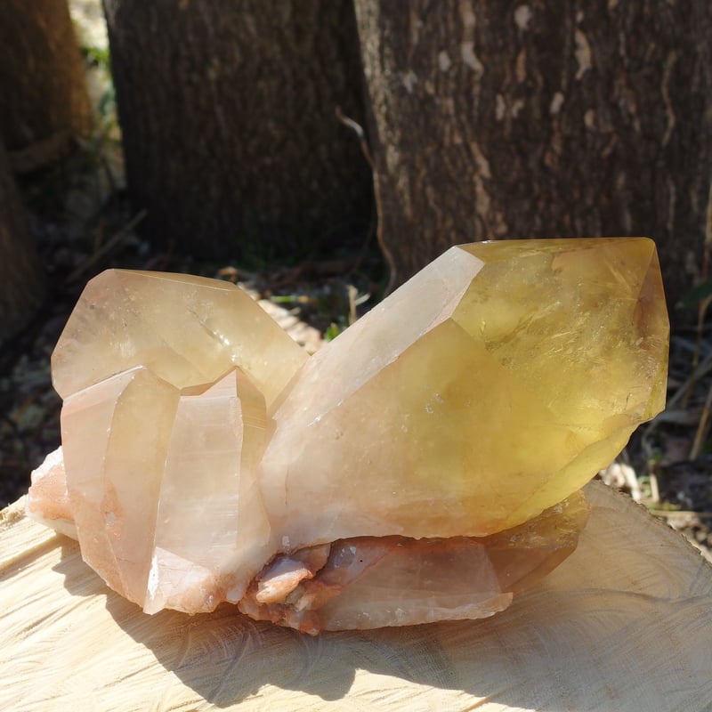 ピンクシトリン（虹入り、セルフヒールド）【特典付き】 | Crystal Light