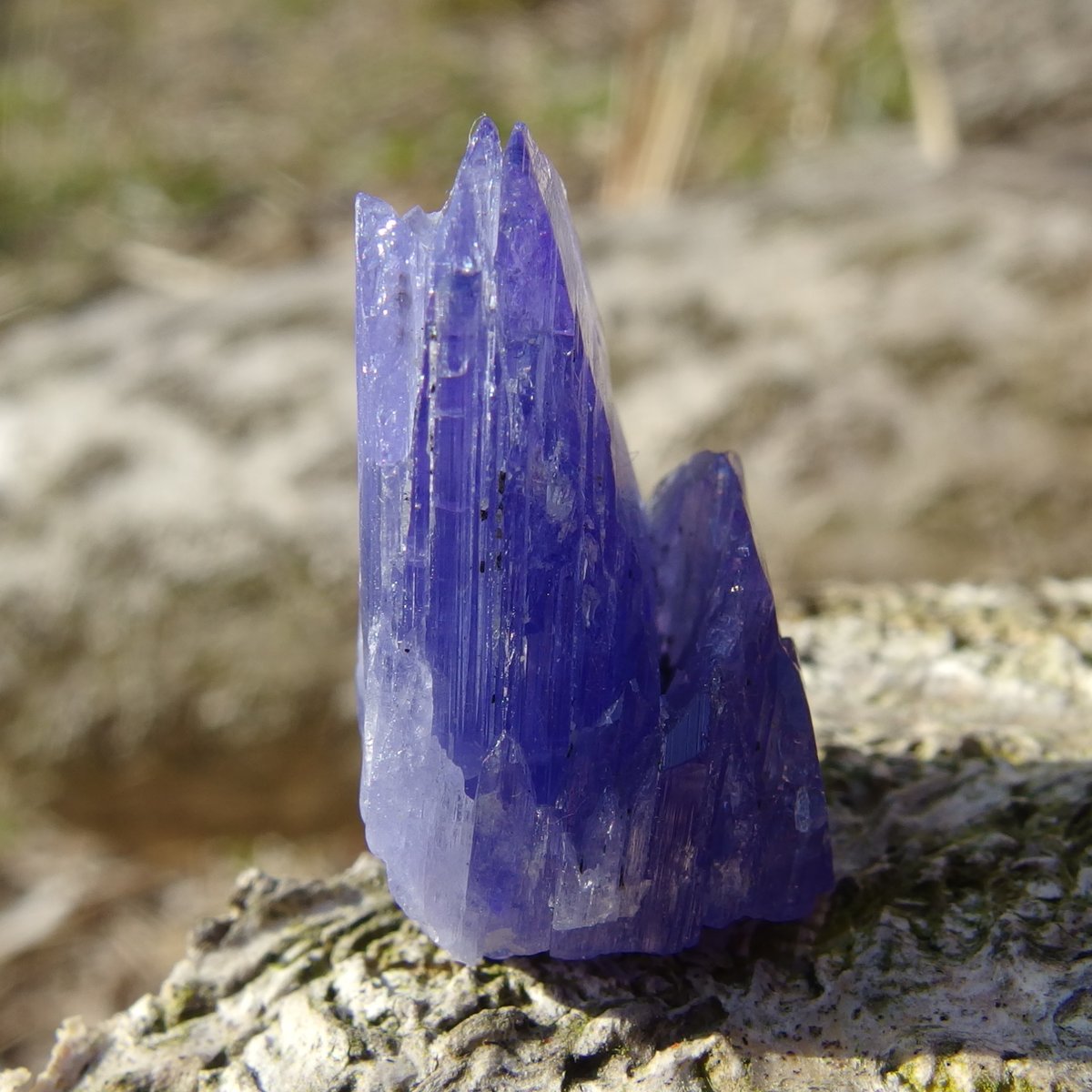 非加熱タンザナイト原石【特典付き】 | Crystal Light