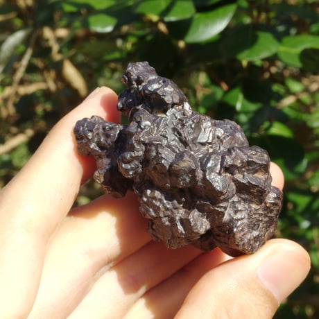 プロフェシーストーン | STORES