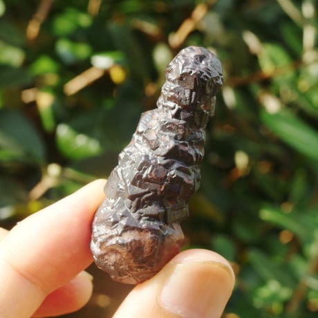 プロフェシーストーン | STORES