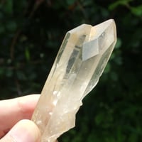 アフリカンシトリン（ツイン、ウィンドウ、パストタイムリンク、虹入り）【特典付き】