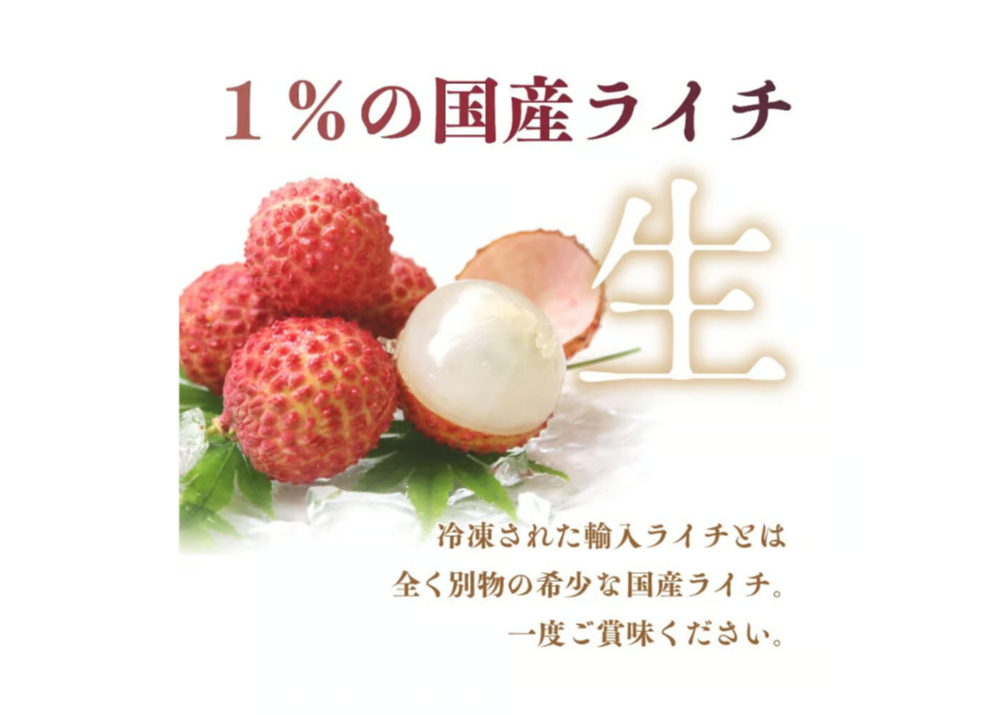 希少】綾町産生ライチ 500g 化粧箱 | JAみやざき 綾町オンライン