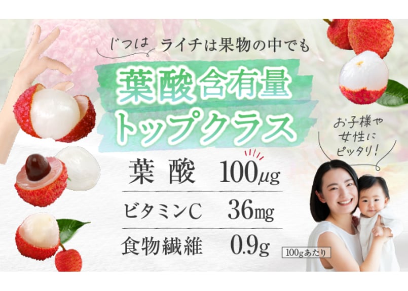 希少】綾町産生ライチ 500g 化粧箱 | JAみやざき 綾町オンライン