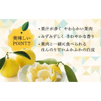 種あり日向夏 5kgダンボール | JAみやざき 綾町オンライン