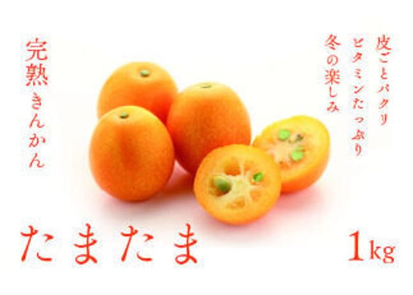 きんかん 完熟きんかん『たまたま』1kg | JAみやざき 綾町オンラインショップ