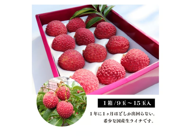 ライチ Skilhunt H04 RC Nichia 519A 4000K USB Magnetic Rechargeable LED