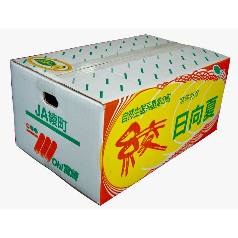 種あり日向夏 5kgダンボール | JAみやざき 綾町オンラインショップ