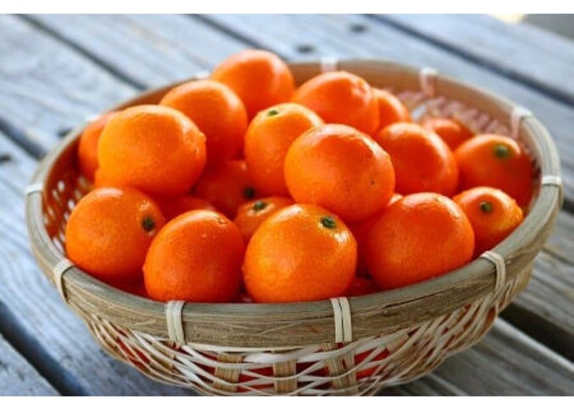 完熟きんかん『たまたま』1kg | JAみやざき 綾町オンラインショップ