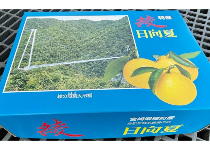 種なし日向夏 2.5K化粧箱 | JAみやざき 綾町オンラインショップ
